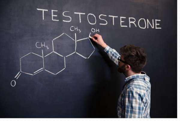 Мужской гормон тестостерон
